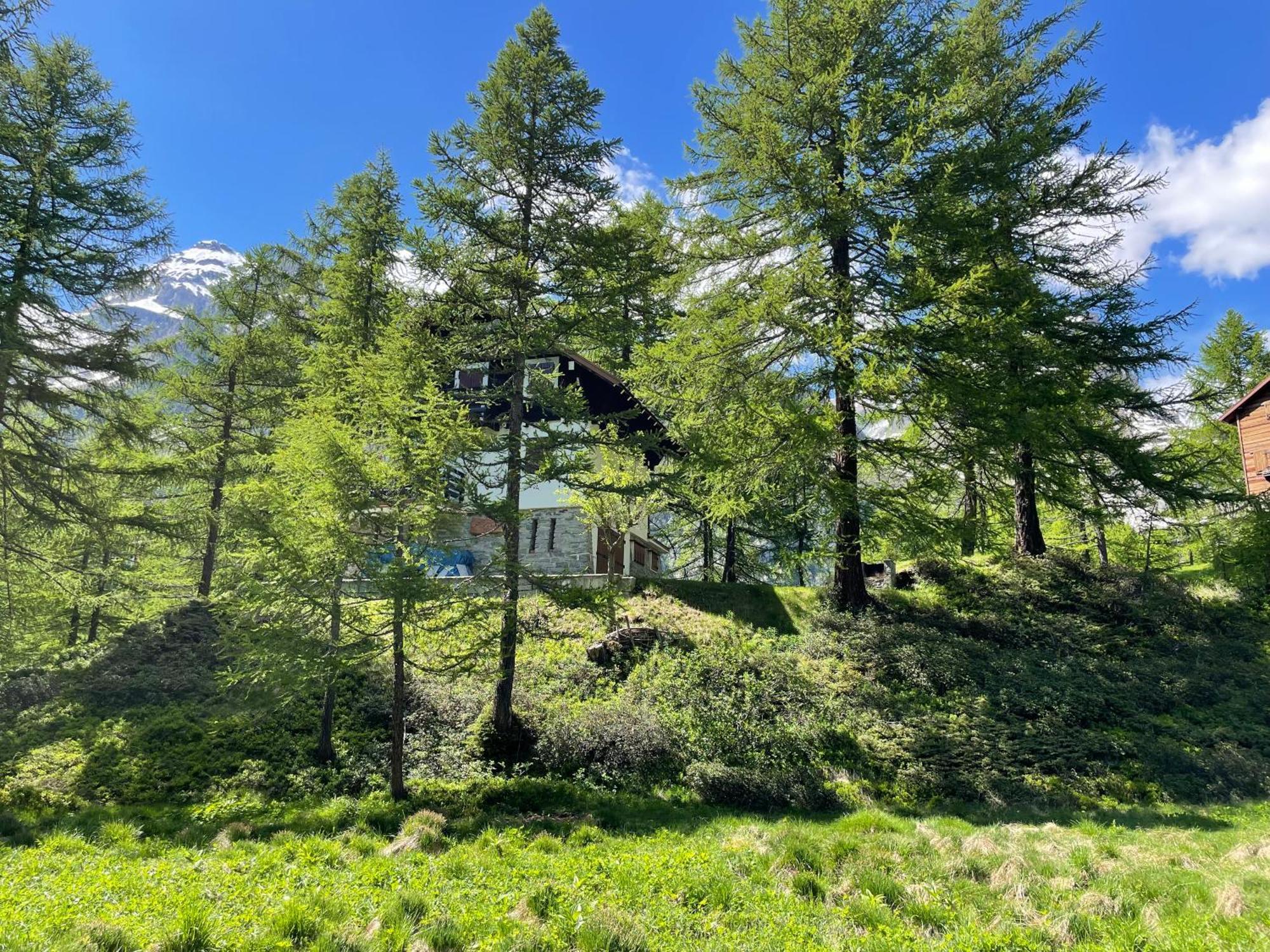 I Larici - Appartamento Per Sognare Alpe Devero Exterior foto