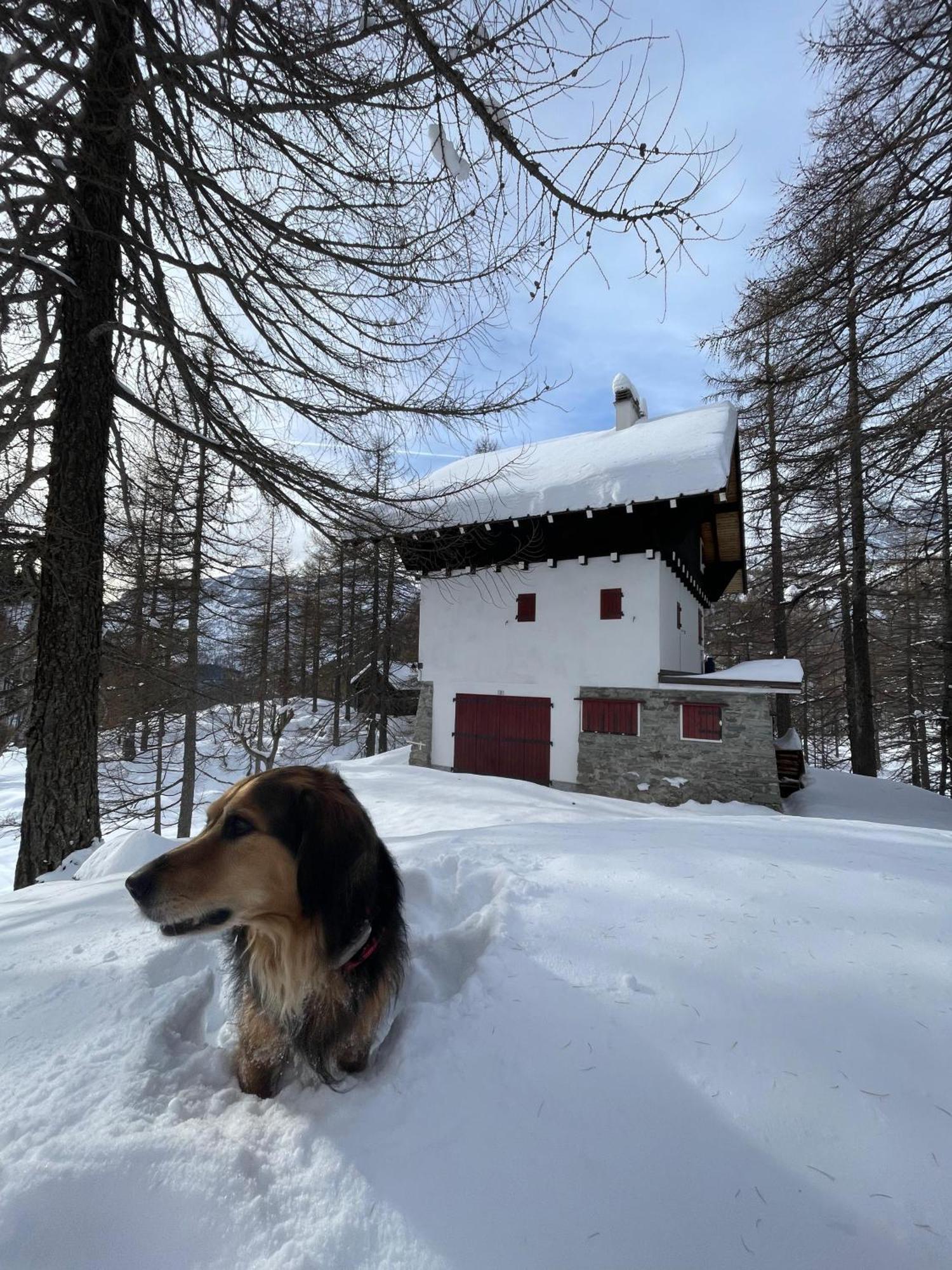I Larici - Appartamento Per Sognare Alpe Devero Exterior foto